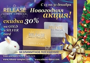 Новогодняя акция - скидки 30%!